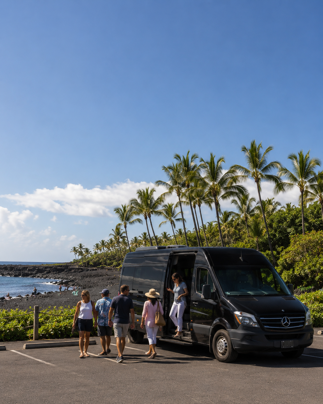 Black-sand beach on the Island of Hawaii