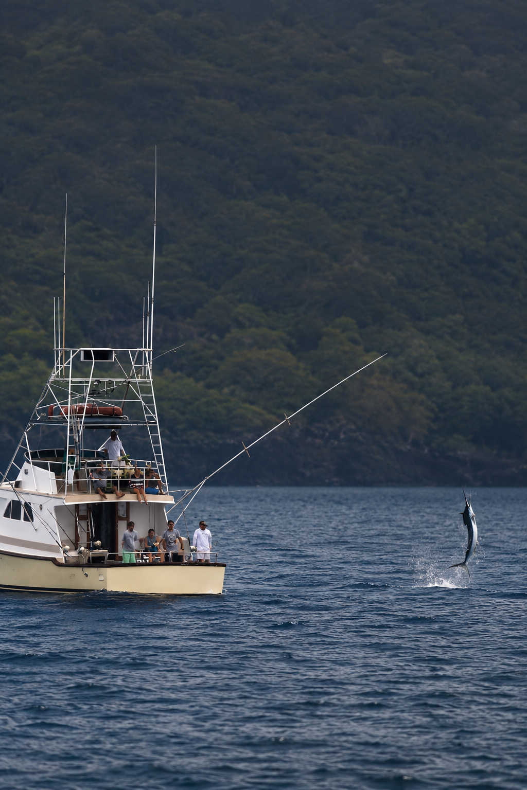 Deep sea fishing charter coordinated for a corporate incentive group on Hawaii's Big Island